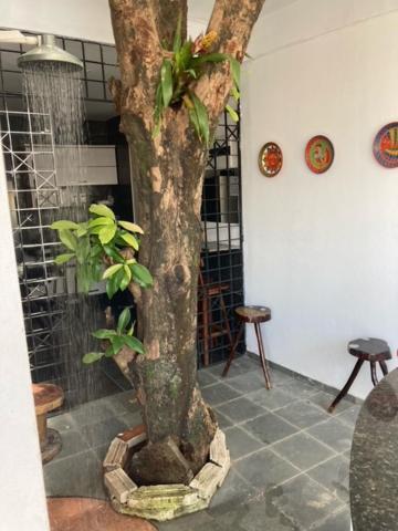 Pousada Porto Jambo Pôrto das Galinhas Exterior foto